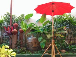 a red umbrella in a garden with plants at Apilapa Hotel in Chiang Mai