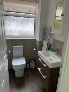 a bathroom with a toilet and a sink and a window at Corporate Large Modern 4 to 5 Bedroom House in Bishops Stortford