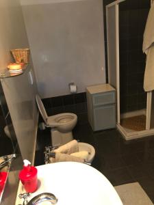 a bathroom with a toilet and a sink and a shower at Agriturismo la Longa in Poirino
