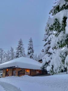 una casa cubierta de nieve frente a los árboles en Mountain house Beauty of Laz, en Ravna Gora