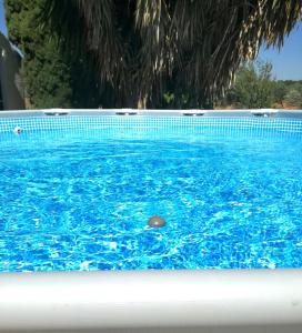 a pool of blue water with a ball in it at Las maravillas de Manuel By Solymar Holiday in Málaga