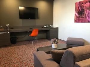 TV a/nebo společenská místnost v ubytování Kongres Hotel Roca