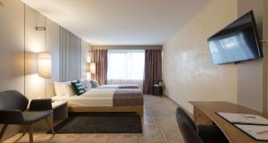 TV a/nebo společenská místnost v ubytování SeePark Hotel Murten