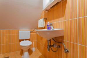 a bathroom with a toilet and a sink at Andrea in Sertić Poljana - Haus für 6 Personen in Plitvička Jezera +16 photos