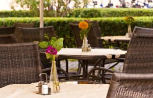 A garden outside Hotel Klastrom