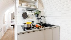 a small kitchen with a sink and a stove at Auszeitgarten - Urlaub im Tinyhaus im Herzen von Oberschwaben in Aulendorf