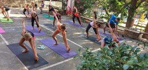 a group of people doing yoga in a yoga class at Bungalov comfort - 100 m from the beach in Premantura