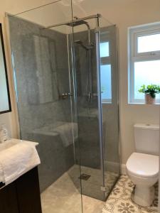 a bathroom with a shower and a toilet at Clara Lodge in Sallins