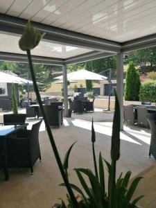 une fleur au milieu d'un patio avec des tables et des chaises dans l'établissement Hôtel Les Deux Lions, à Riez