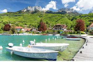 Saint-CerguesにあるEntre Annecy Geneve et Evian 2の山を背景に浮かぶ湖に停泊する船2隻