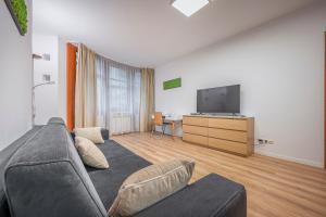 un soggiorno con divano e TV a schermo piatto di Modern Apartment With Garage a Budapest