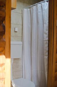 a bathroom with a white shower curtain and a toilet at Brvnare Ala Vrdnik in Vrdnik