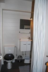 a small bathroom with a toilet and a sink at Gîte La Grange d'Herbuchenne in Dinant