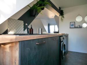 cocina con fregadero y lavadora en CLINT HOUSE - Appartement "Fou de Bassan" en Perros-Guirec