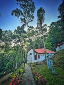 ein kleines Haus mitten im Wald in der Unterkunft STAYMAKER Qexperiences Coorg in Madikeri