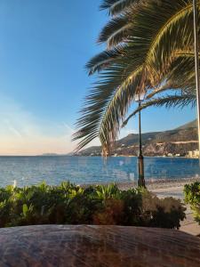 a beach with a palm tree and the ocean at Aqua Apartments in Loutra Oraias Elenis