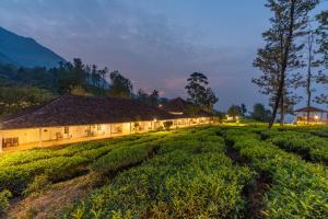 a building in a field at night at Zostel Plus Wayanad in Kalpetta