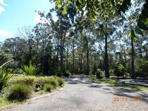 un chemin dans un parc planté d'arbres et de plantes dans l'établissement Self-contained Cabin 10 min to Huskisson, à Tomerong