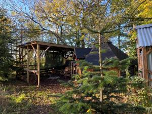 a cabin in the woods with a tree at The Hobbit House and Secret Garden in Taunton