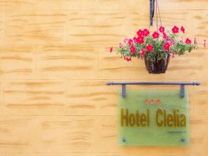 Certifikát, hodnocení, plakát nebo jiný dokument vystavený v ubytování Hotel Clelia