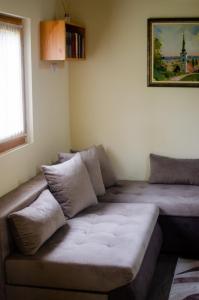 a couch sitting in a living room with a window at Brvnare Ala Vrdnik in Vrdnik