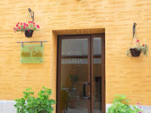Exteriér nebo vchod ubytování Hotel Clelia