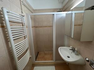 uma casa de banho com um chuveiro e um lavatório. em Family Friendly Apartman em Budapeste