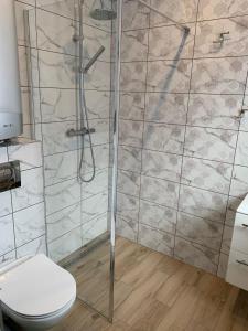 a bathroom with a shower and a toilet at Na wilczym szlaku in Ustrzyki Dolne