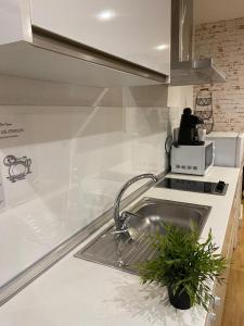 - un comptoir de cuisine avec évier et four micro-ondes dans l'établissement Apartamentos Sevilla Palace, à Séville