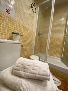 Apartamentos Sevilla Palace في إشبيلية: حمام مع دش ومرحاض وحوض استحمام