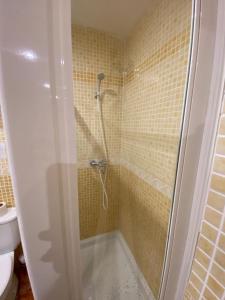 y baño con ducha y aseo. en Apartamentos Sevilla Palace, en Sevilla