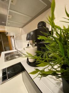 Kuchyňa alebo kuchynka v ubytovaní Apartamentos Sevilla Palace