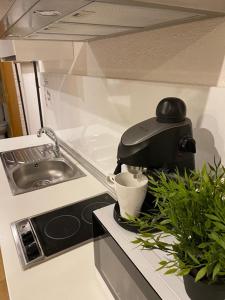 Kuchyňa alebo kuchynka v ubytovaní Apartamentos Sevilla Palace