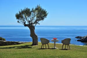 two chairs and a table with a tree and water at Aegea Blue Cycladic Resort in Zorgos 