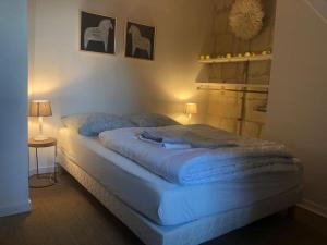 La Scellerie, le charme au cœur de Tours في تور: غرفة نوم بها سرير مع ضوء أزرق