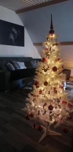 a christmas tree with lights in a living room at Gîte la source de la bruche in Bourg-Bruche