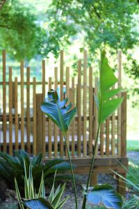 eine blaue Blume vor einer Holzbank in der Unterkunft Whaka Lodge in Seissan