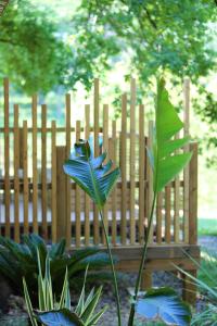 een blauwe bloem voor een houten bank bij Whaka Lodge in Seissan