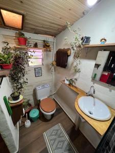 a small bathroom with a sink and a toilet at hospedagem bicho do mato arts in Brotas +66 photos
