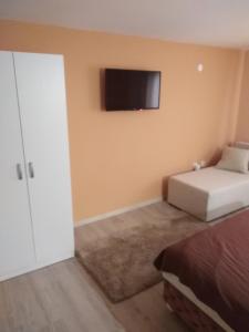 1 dormitorio con 1 cama y TV en la pared en Apartmani Jevremović, en Guča