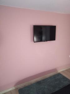 TV de pantalla plana colgada en la pared en Apartmani Jevremović, en Guča