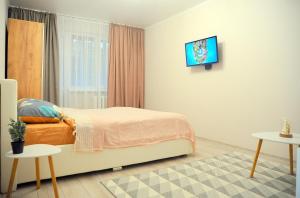 ein Schlafzimmer mit einem Bett und einem TV an der Wand in der Unterkunft BoHo Apartment near Center! in Chişinău