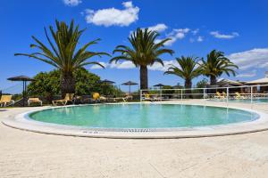 a large swimming pool with palm trees in the background at Colina Village in Carvoeiro