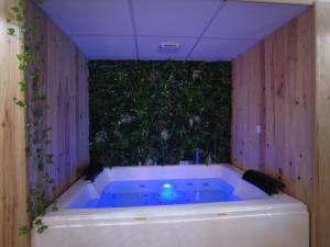 jacuzzi w pokoju z rośliną w obiekcie HOTEL DU BERRY - Loveroom avec Sauna, Hammam, Jacuzzi privatifs w mieście Reuilly +24 zdjęcia