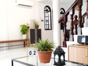 a room with a glass table with a potted plant at Grand Height Homestay 7A 10pax 4Rooms in Sibu