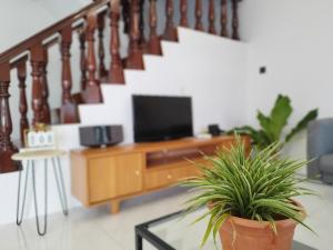Grand Height Homestay 7A 10pax 4Rooms في سيبو: غرفة معيشة مع تلفزيون وطاولة مع نباتات