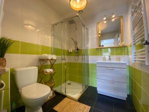 a bathroom with a toilet and a glass shower at Exceptionnel ! Superbe appartement refait à neuf en rez-de-chaussée avec parking privé in Castres