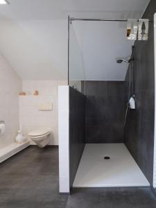 エッペルボルンにあるSchmidt`s Eppelborner Ferienwohnungのバスルーム(ガラス張りのシャワー、トイレ付)