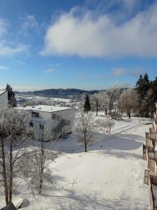 een met sneeuw bedekt park met een gebouw en bomen bij Ferienapartment Auszeit wie dahoam Am Predigtstuhl in Sankt Englmar
