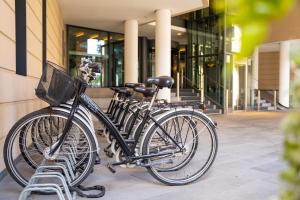 Jízda na kole v ubytování INNSiDE by Meliá Dresden nebo okolí